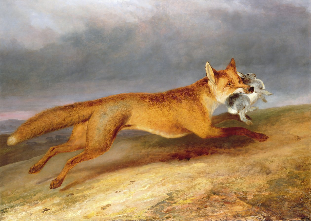 Fuchs entkommt mit einem Kaninchen von Charles Hancock
