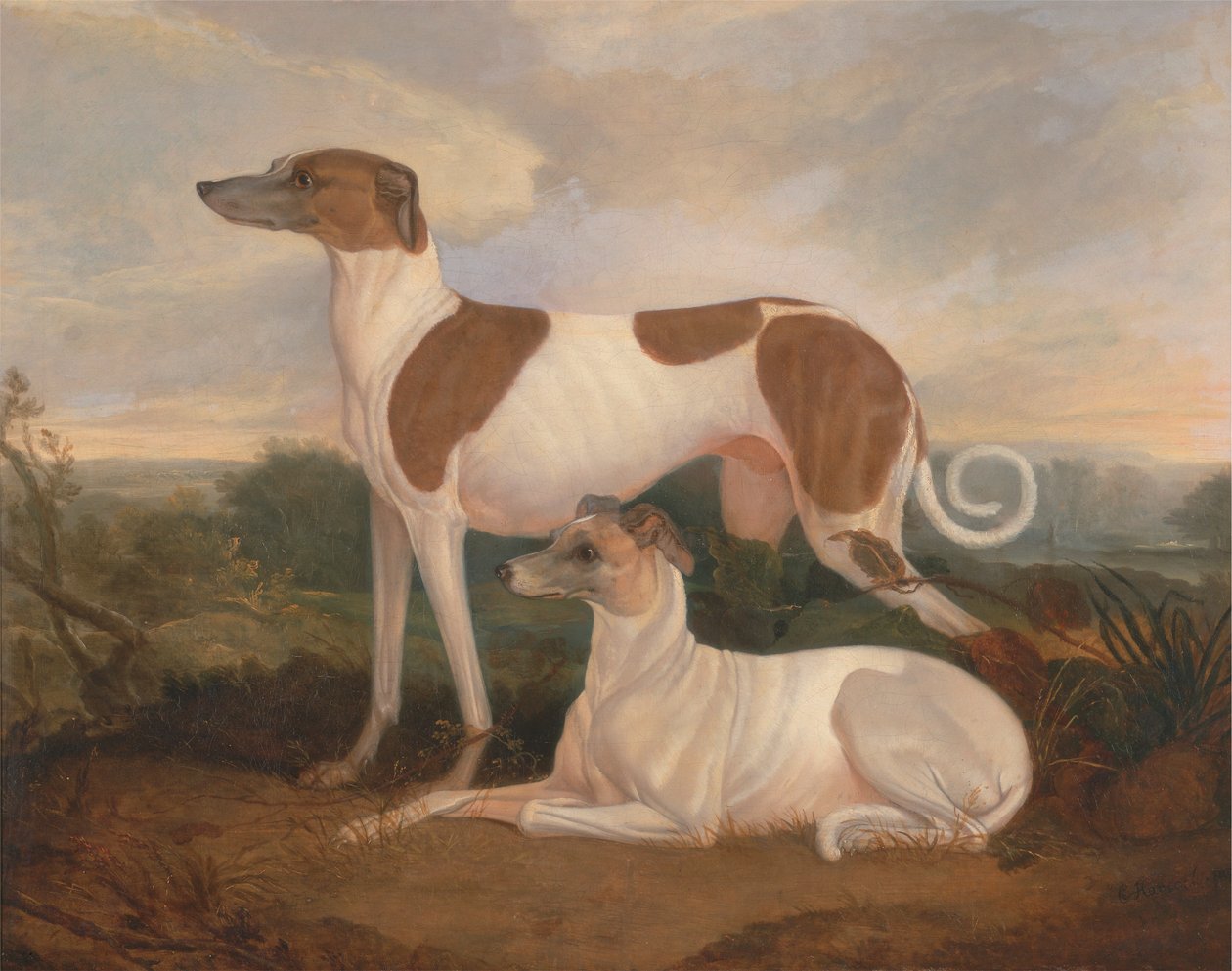 Zwei Windhunde in einer Landschaft von Charles Hancock