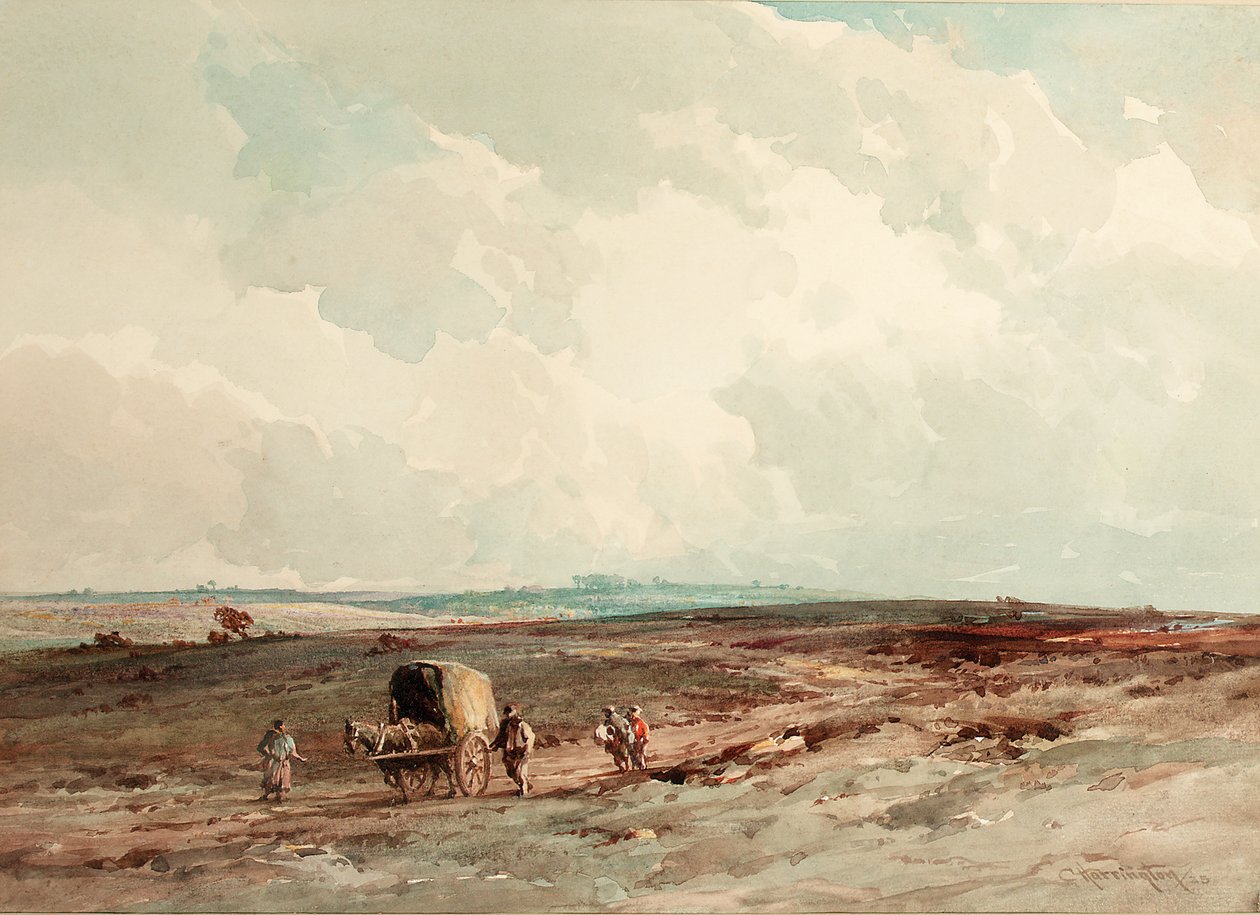 Im Ashdown Forest Reserve, 1925 von Charles Harrington