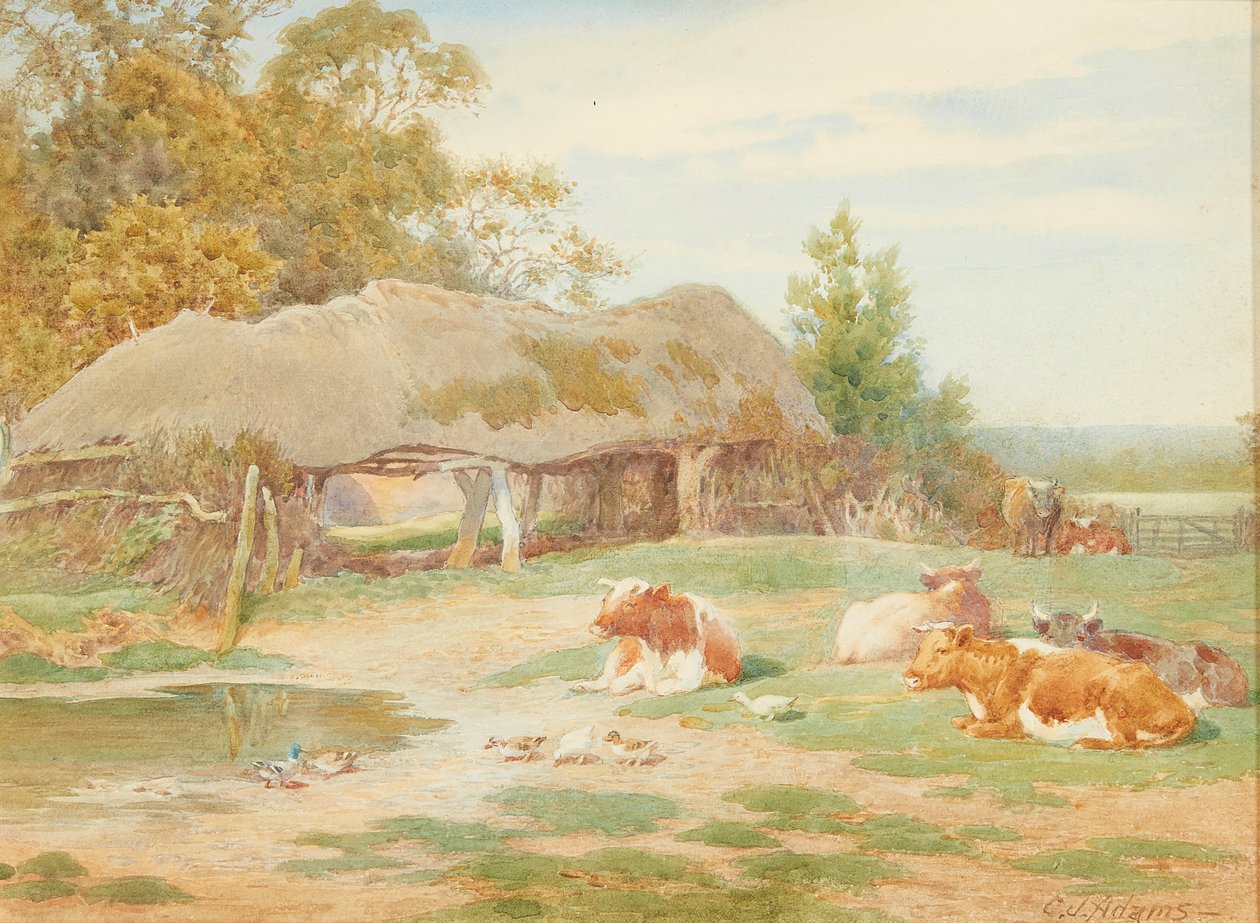 Ruhende Rinder von Charles James Adams