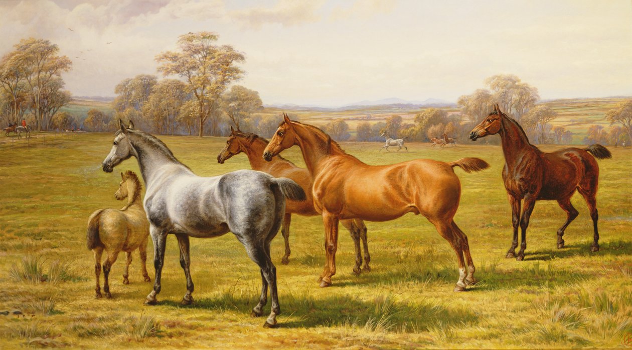 Pferde und Fohlen auf einer Wiese von Charles Jones