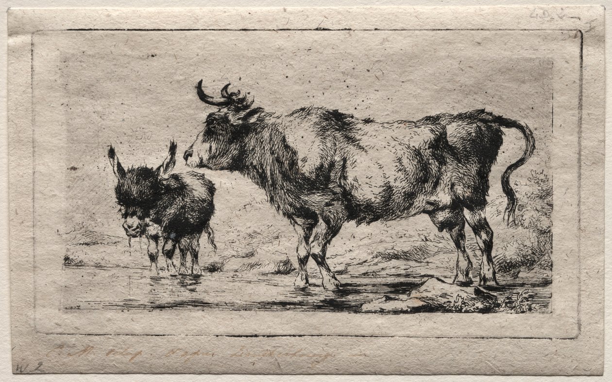 Kuh und Esel von Charles Meryon