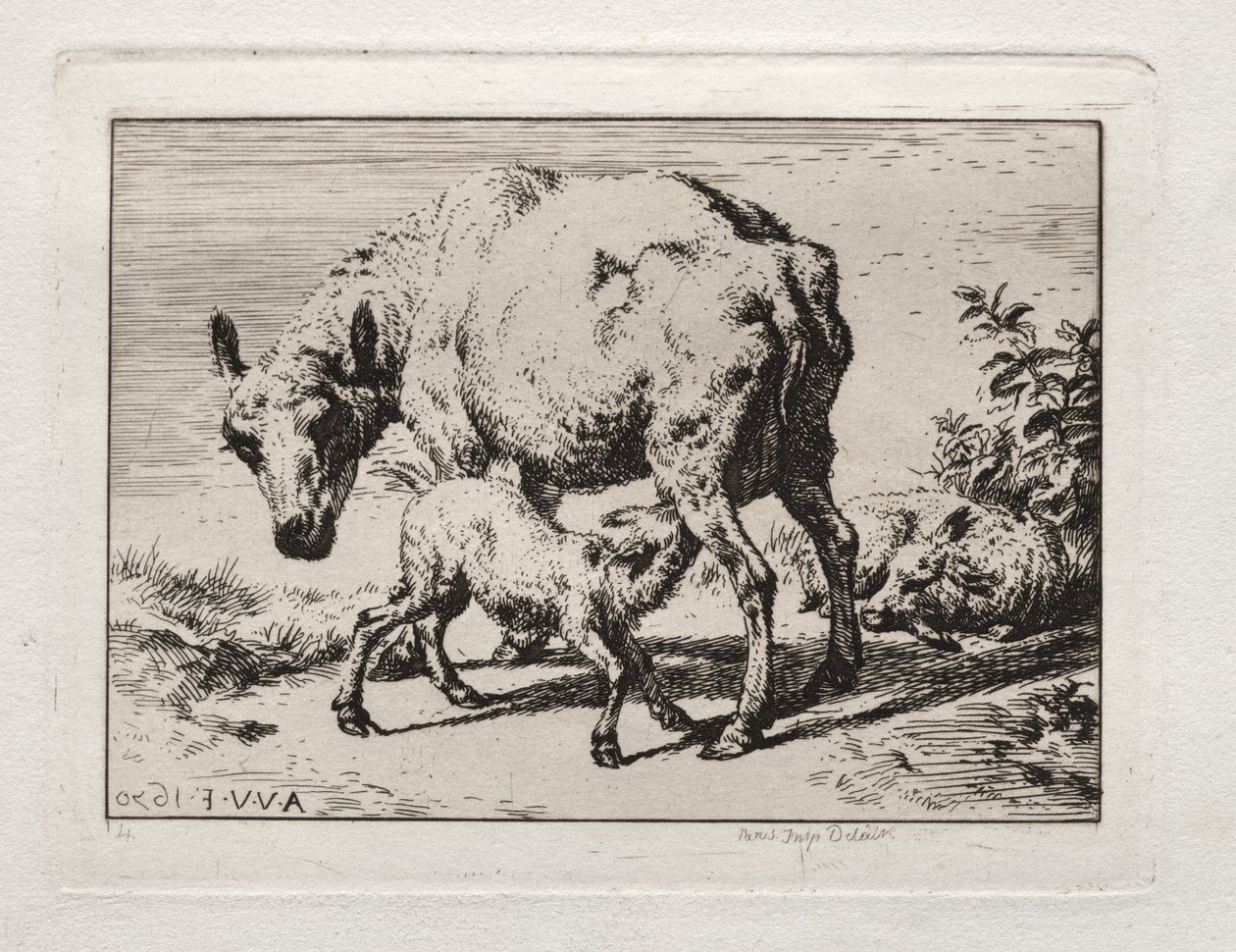 Das Mutterschaf mit zwei Lämmern von Charles Meryon