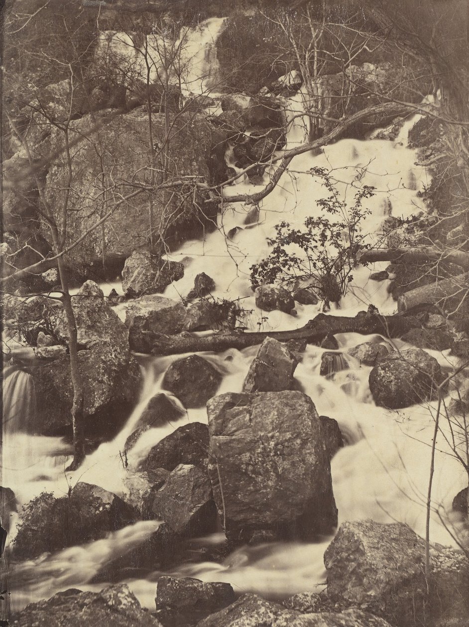 [Bäume und Wasserfälle], 1860-65 von Charles Nègre