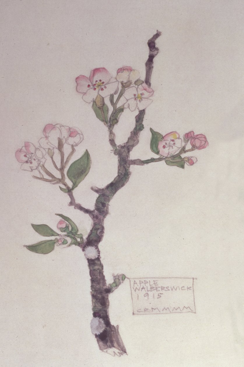 Apfel, Walberswick, 1915 von Charles Rennie Mackintosh