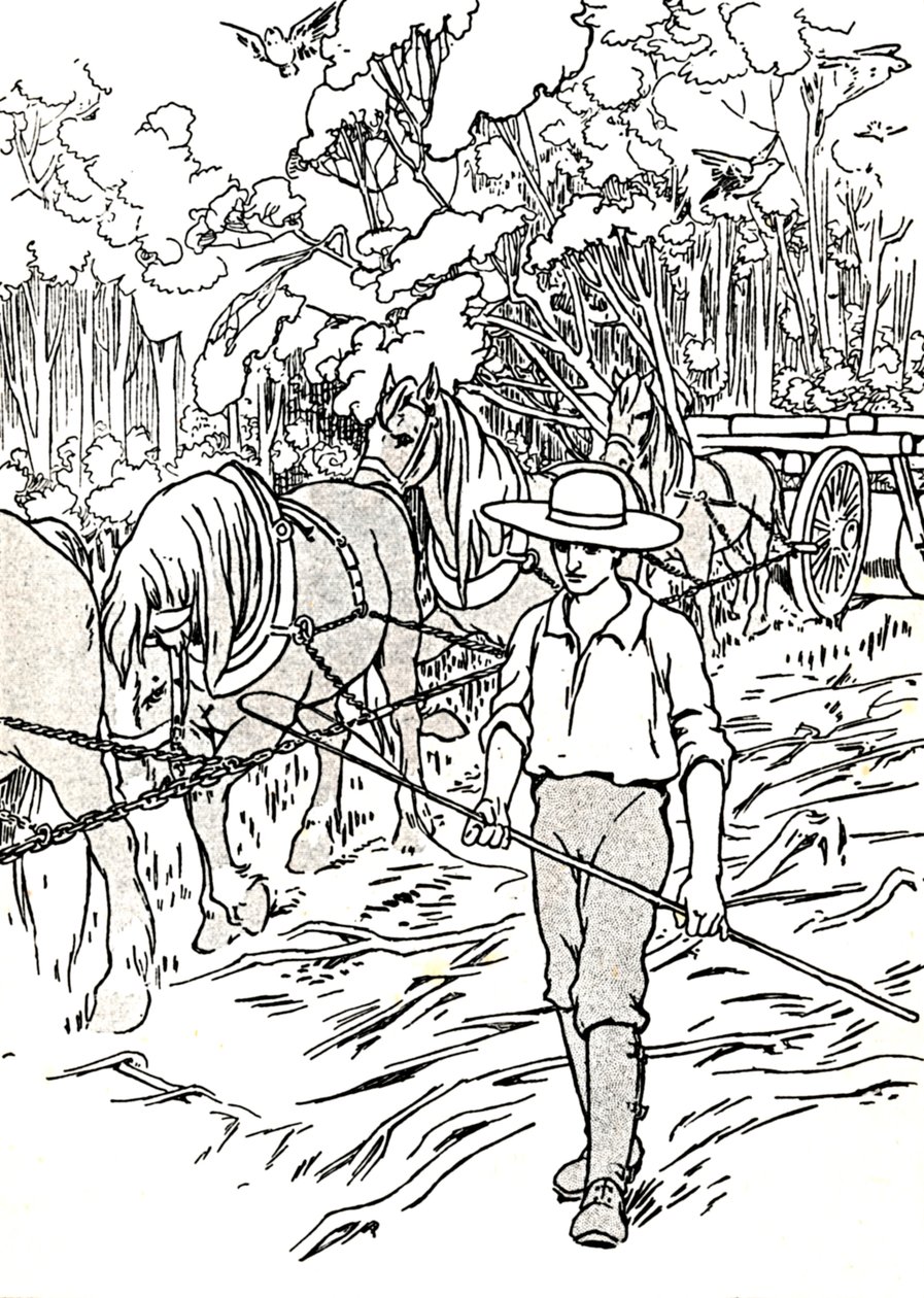 Ein Siedler räumt sein Land, 1912 von Charles Robinson