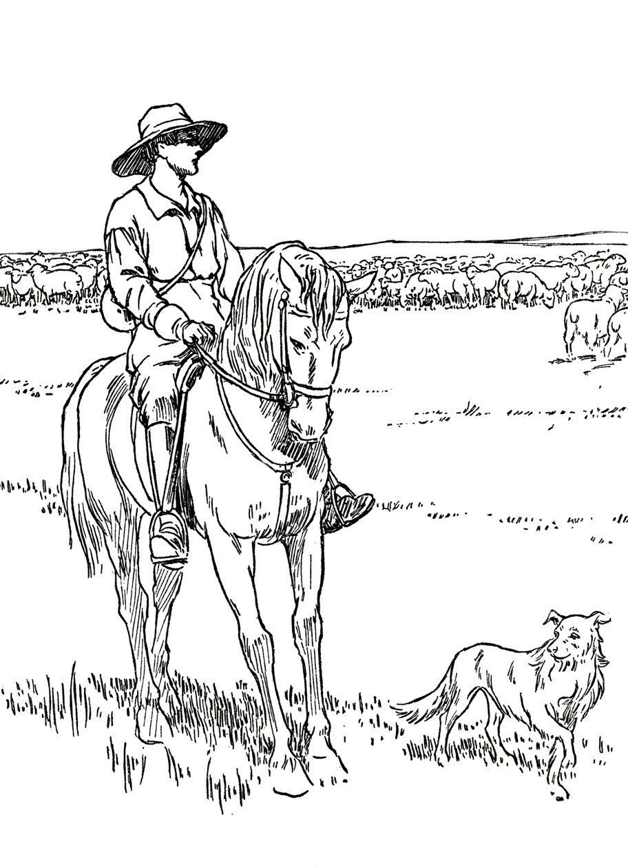 Eine Schafstation in Australien, 1912 von Charles Robinson