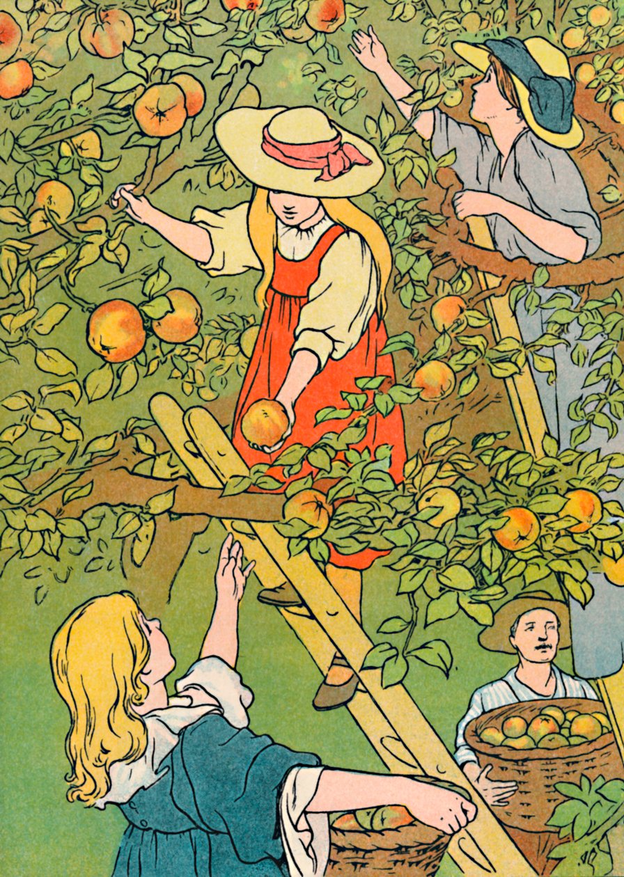 Früchte pflücken, 1912 von Charles Robinson