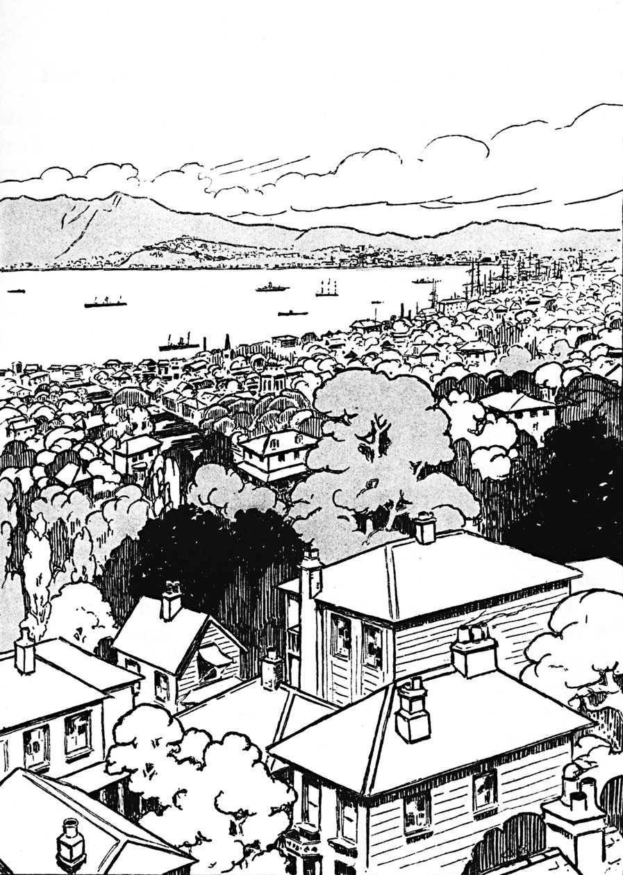 Wellington, 1912 von Charles Robinson