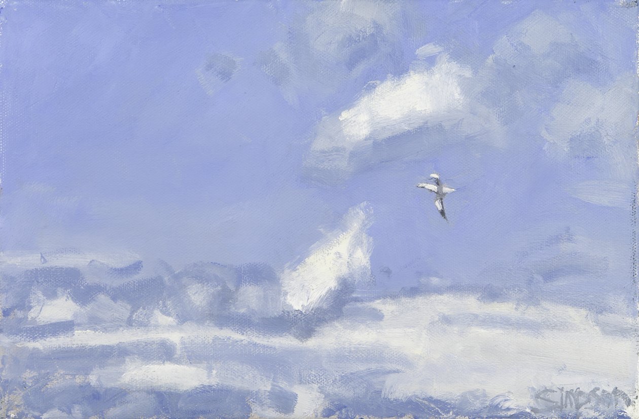 Basstölpel und Wolken, 2016 von Charles Simpson