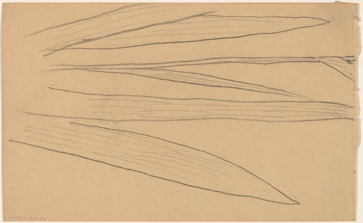 Studie einer Blume (verso) von Charles Sprague Pearce