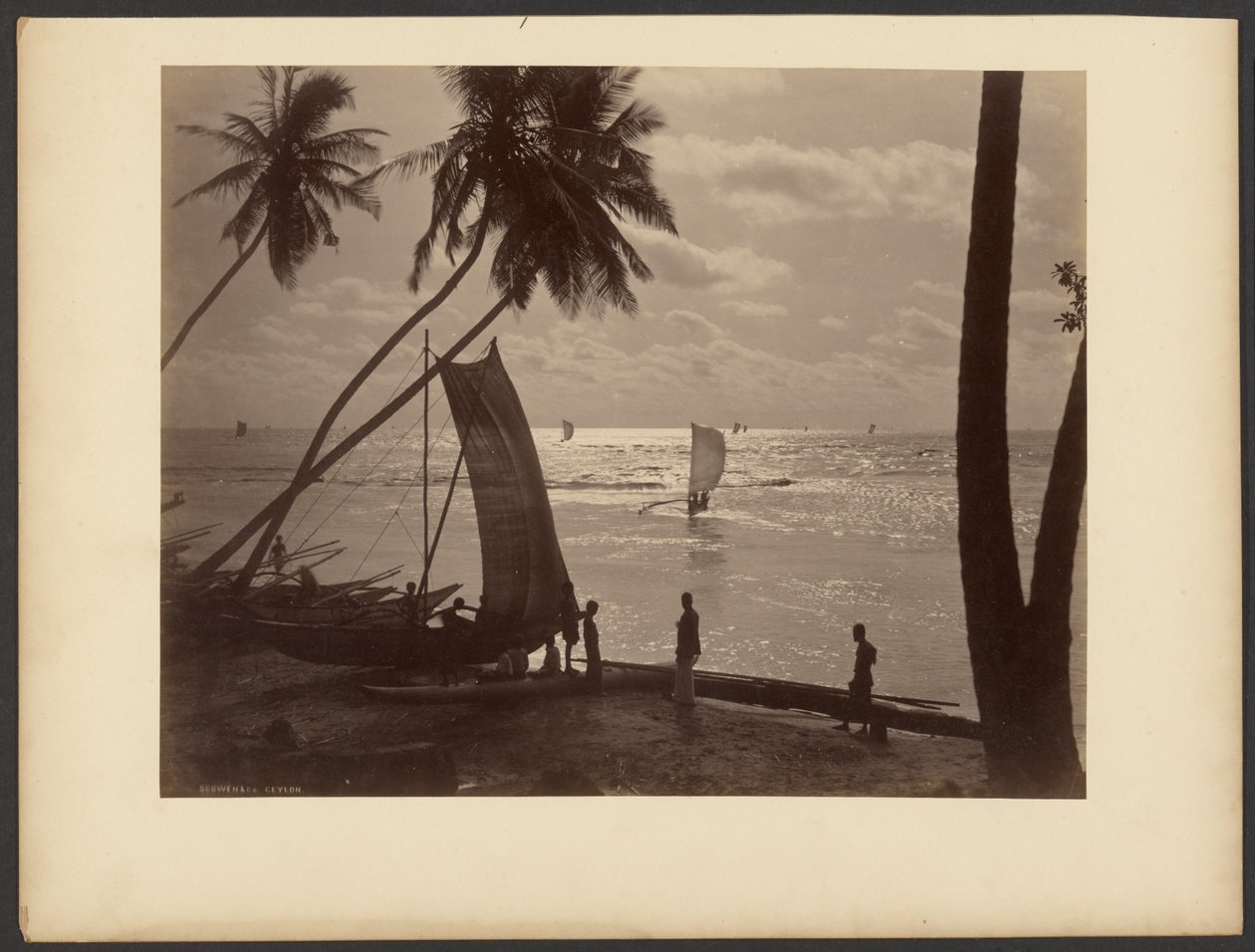 Ceylon von Charles T. Scowen