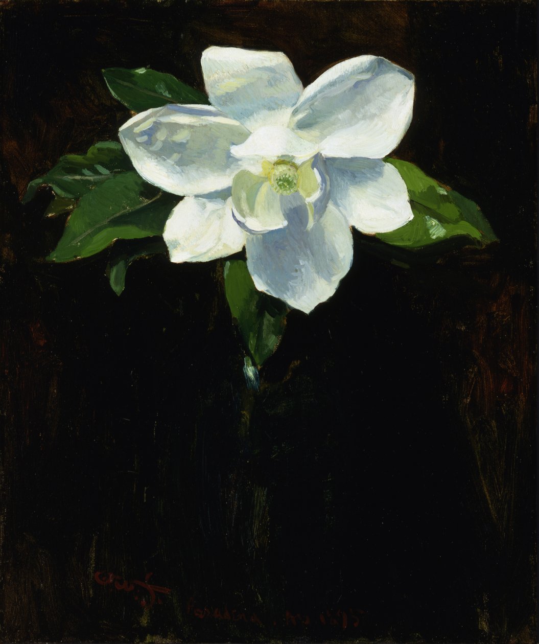 Magnolie, 1895 von Charles Walter Stetson