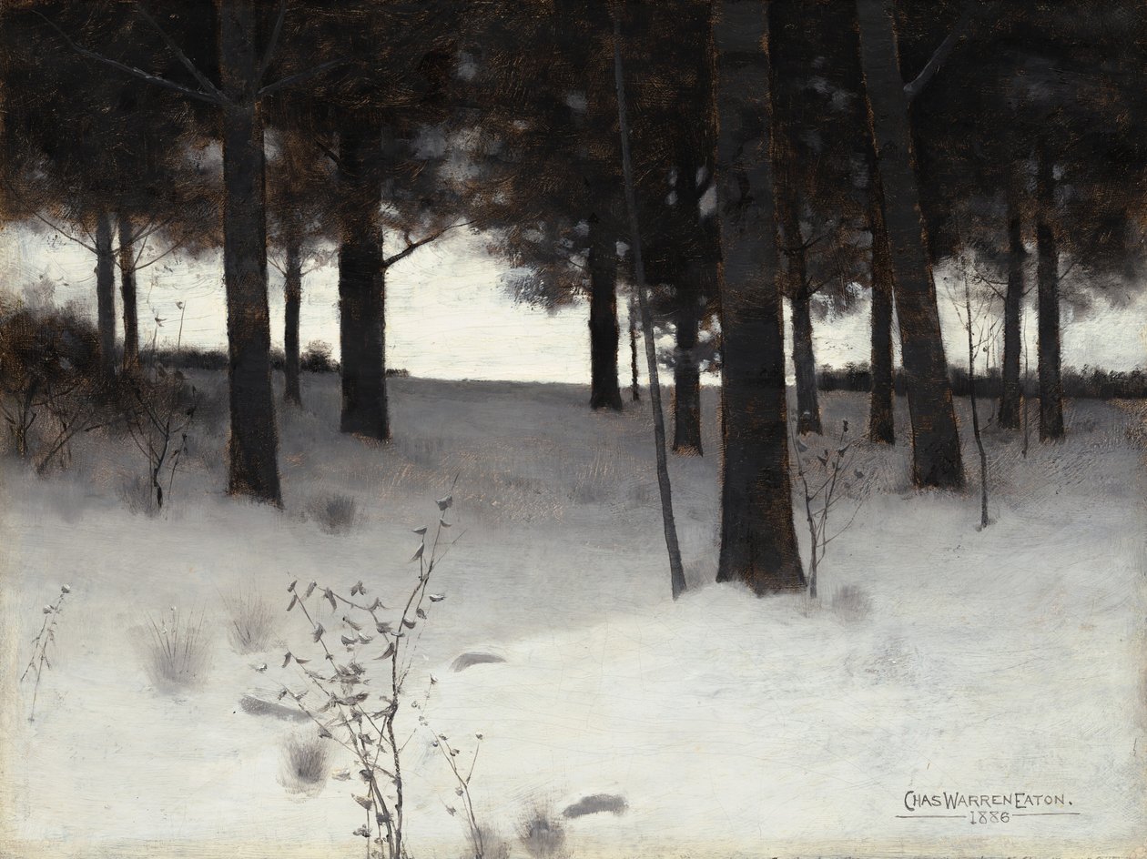 Wälder im Winter von Charles Warren Eaton