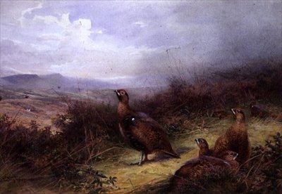 Moorhühner in den Highlands von Charles Whymper