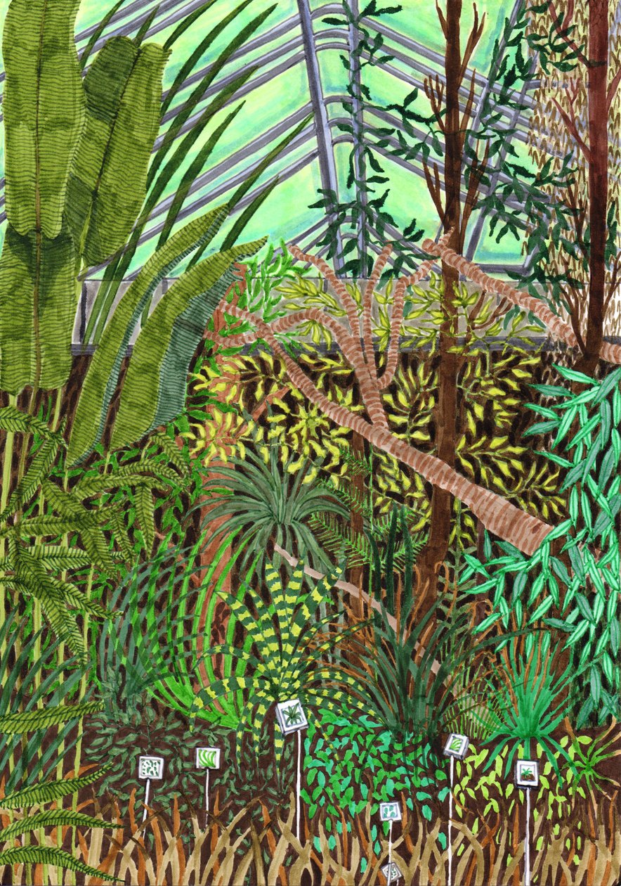 Botanischer Garten, 2017 von Charlotte Orr