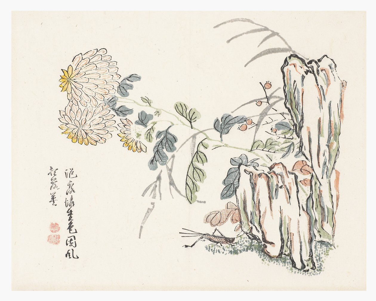 Chrysantheme, Mustard Seed Garden Manual von Cheng An (after)