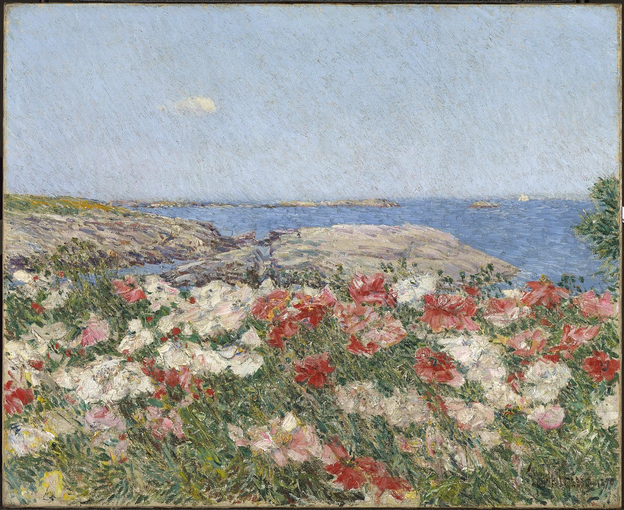 Mohnblumen auf den Isles of Shoals von Childe Frederick Hassam