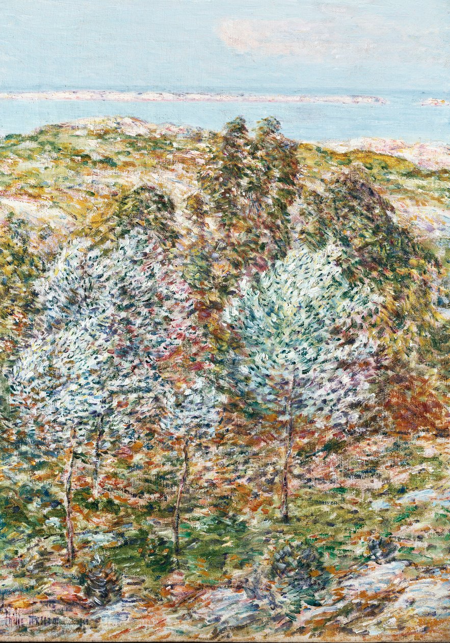 Frühlingsvision von Childe Frederick Hassam