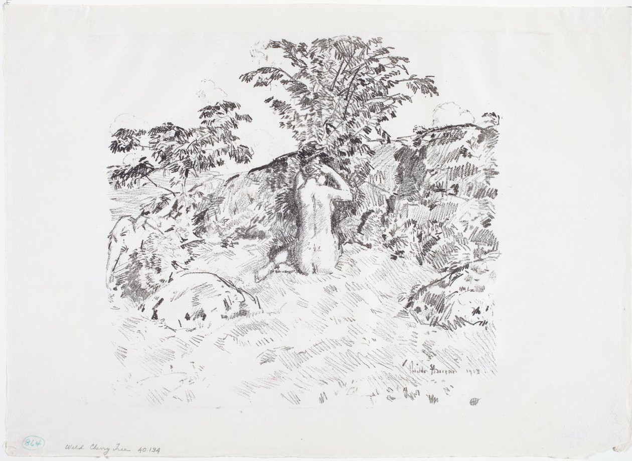 Wilder Kirschbaum von Childe Frederick Hassam