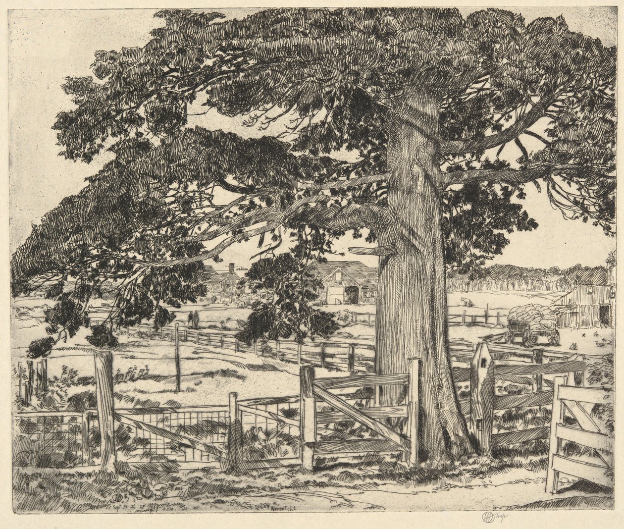Große Zeder, Wainscott, L. I., 1929 von Childe Hassam