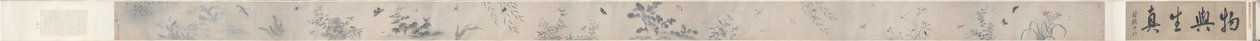 Insekten und Blumen von China, Qing dynasty