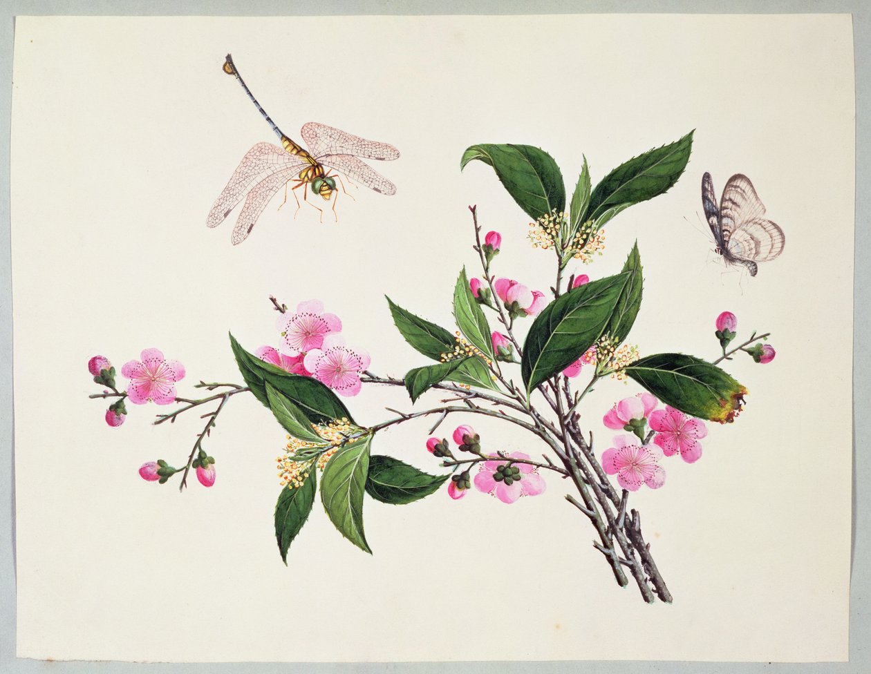 Kirschblüte, Libelle und Schmetterling von Chinese School