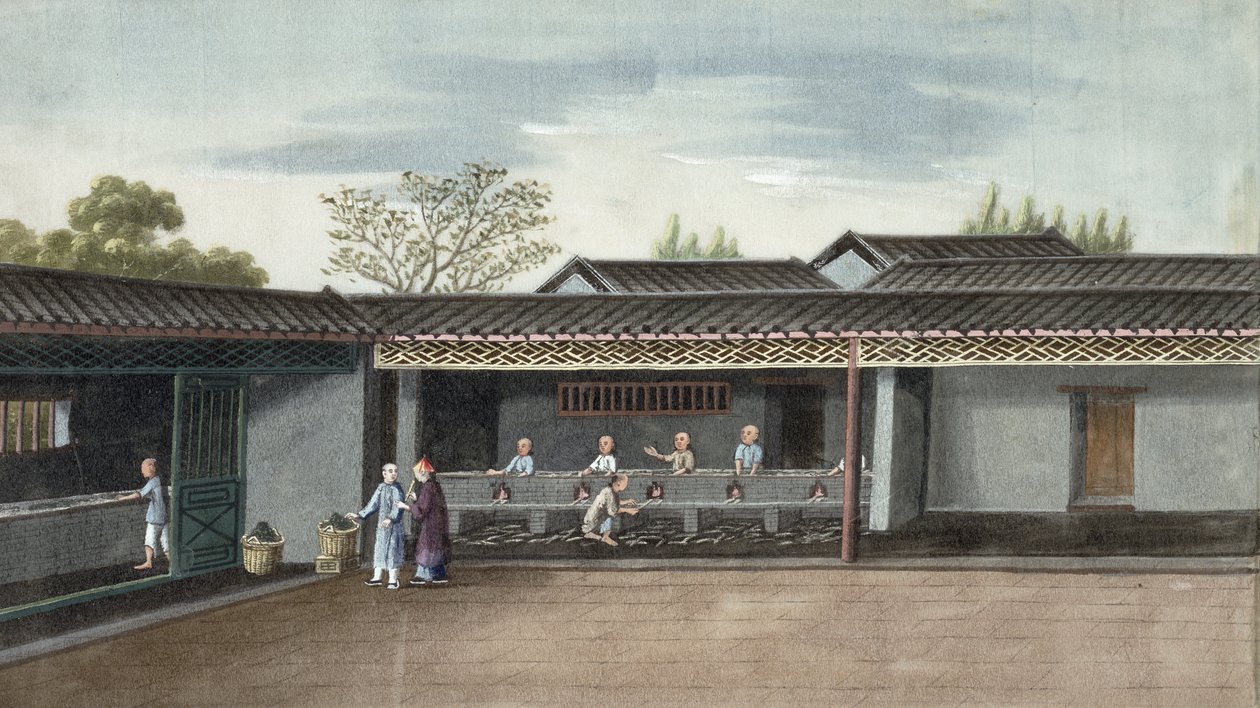 Tee trocknen von Chinese School