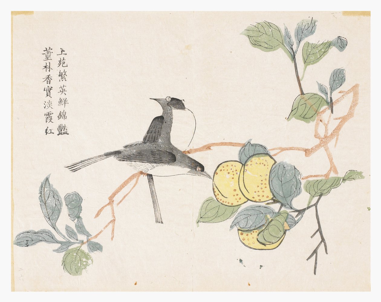 Senfkorngarten von Chinese School