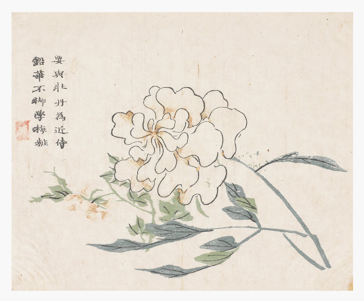 Senfkorngarten von Chinese School