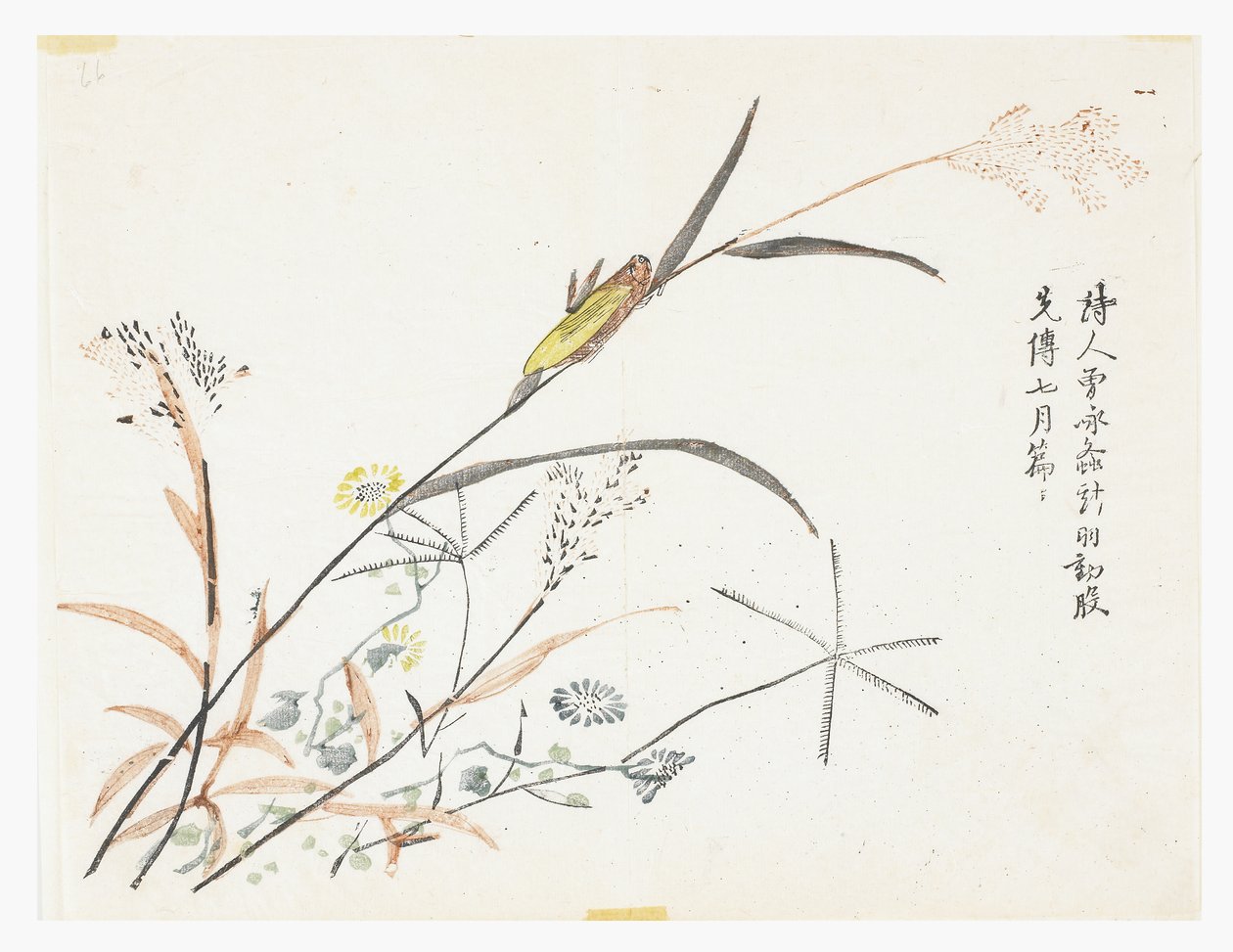 Senfkorn-Garten von Chinese School