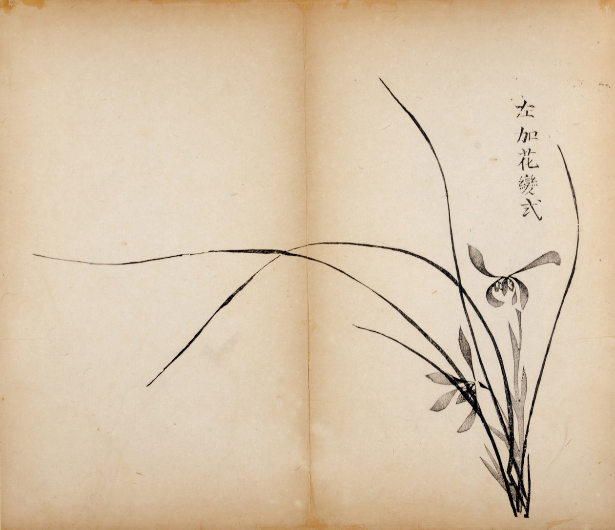 Zehn Bambus-Studio-Drucke, 1643 von Chinese School