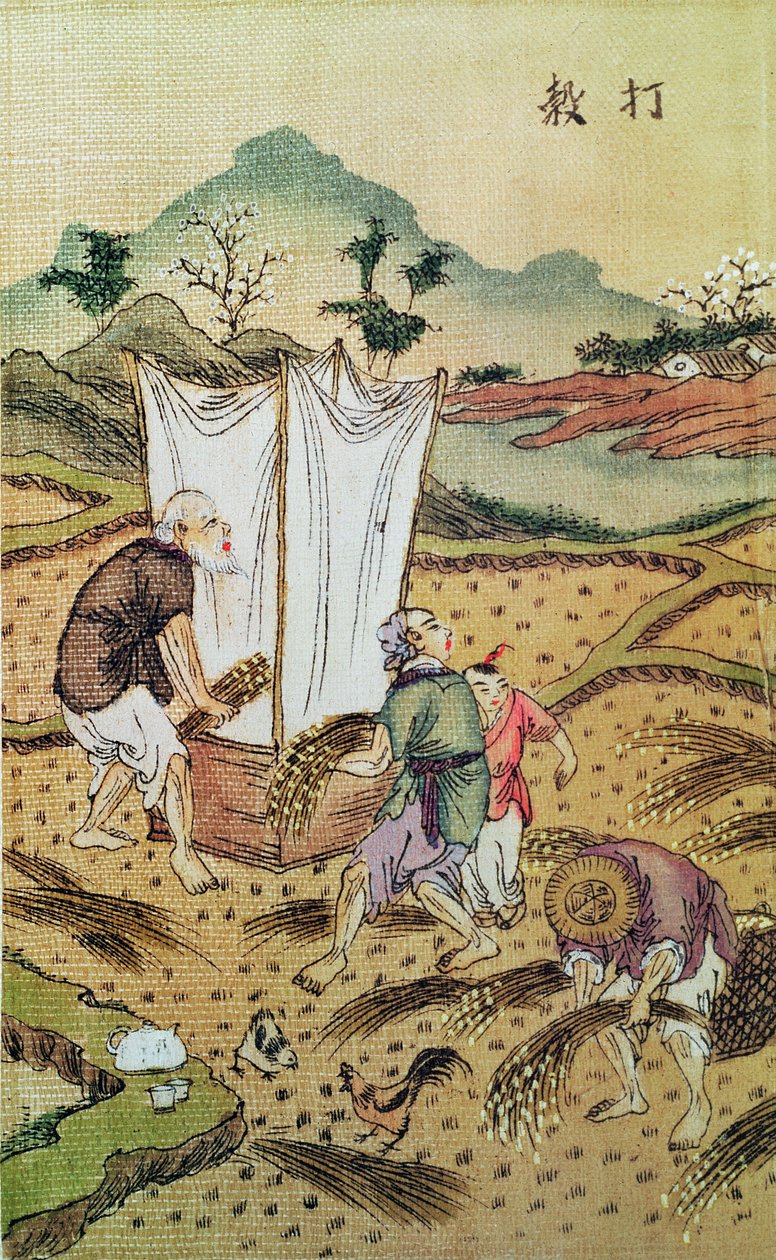 Die Geschichte des Reises von Chinese School
