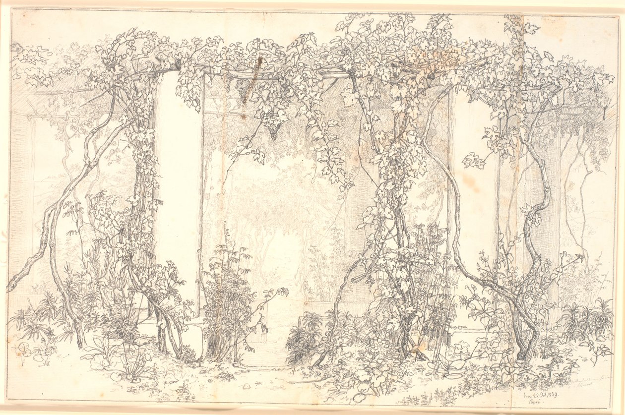 Studie einer Pergola auf Capri von Christen Købke