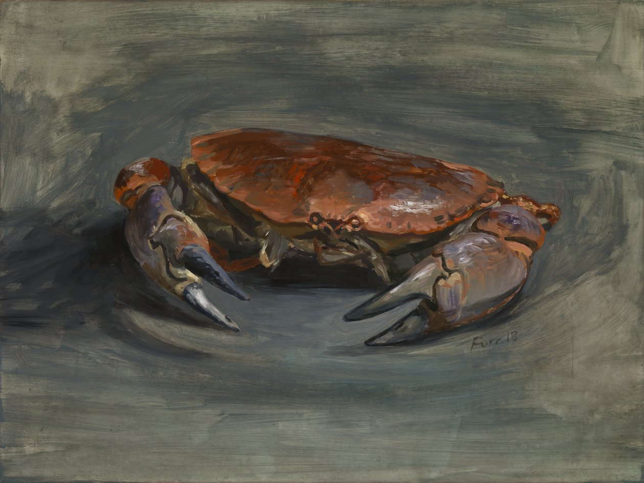 Krabbe, 2018 von Christian Furr
