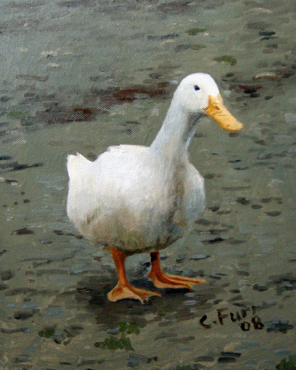 Gans von Christian Furr