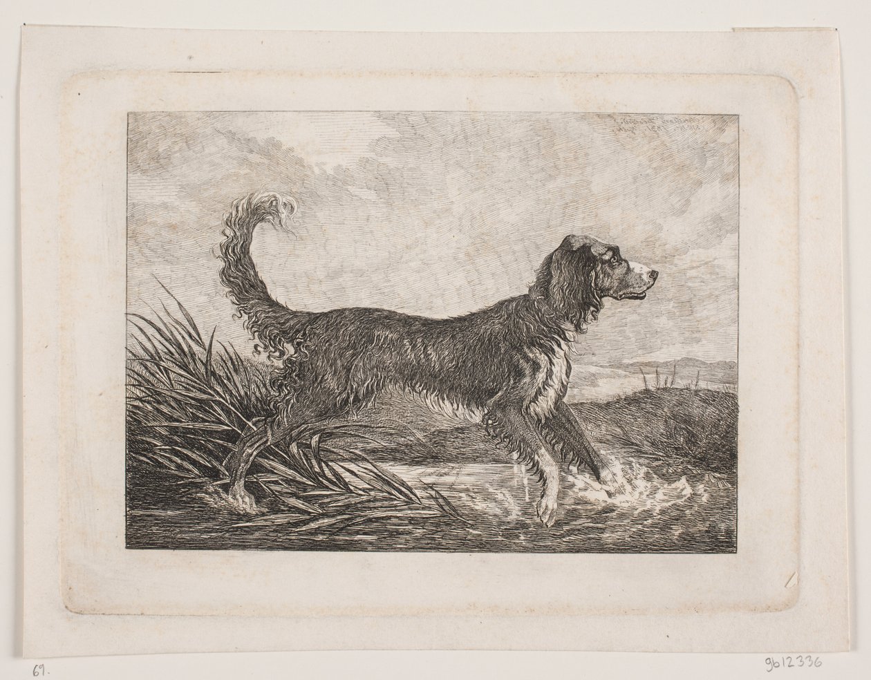 Ein Hund von Christian Holm