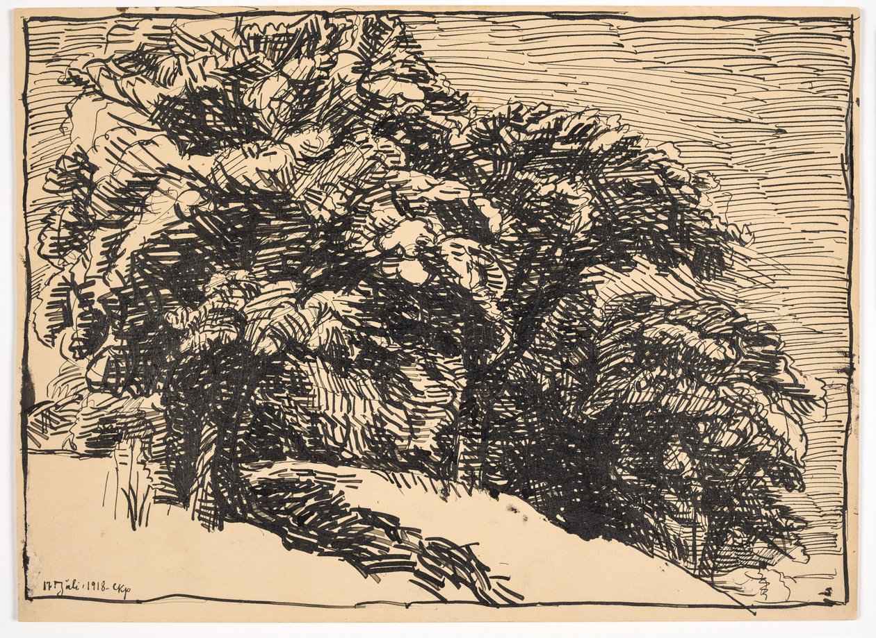 Eichen auf einem Abhang von Christian Kongstad Petersen
