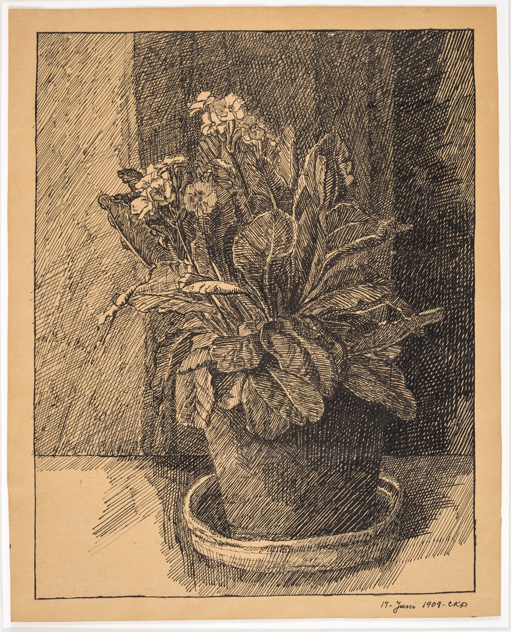 Blumentopf mit Primel von Christian Kongstad Petersen