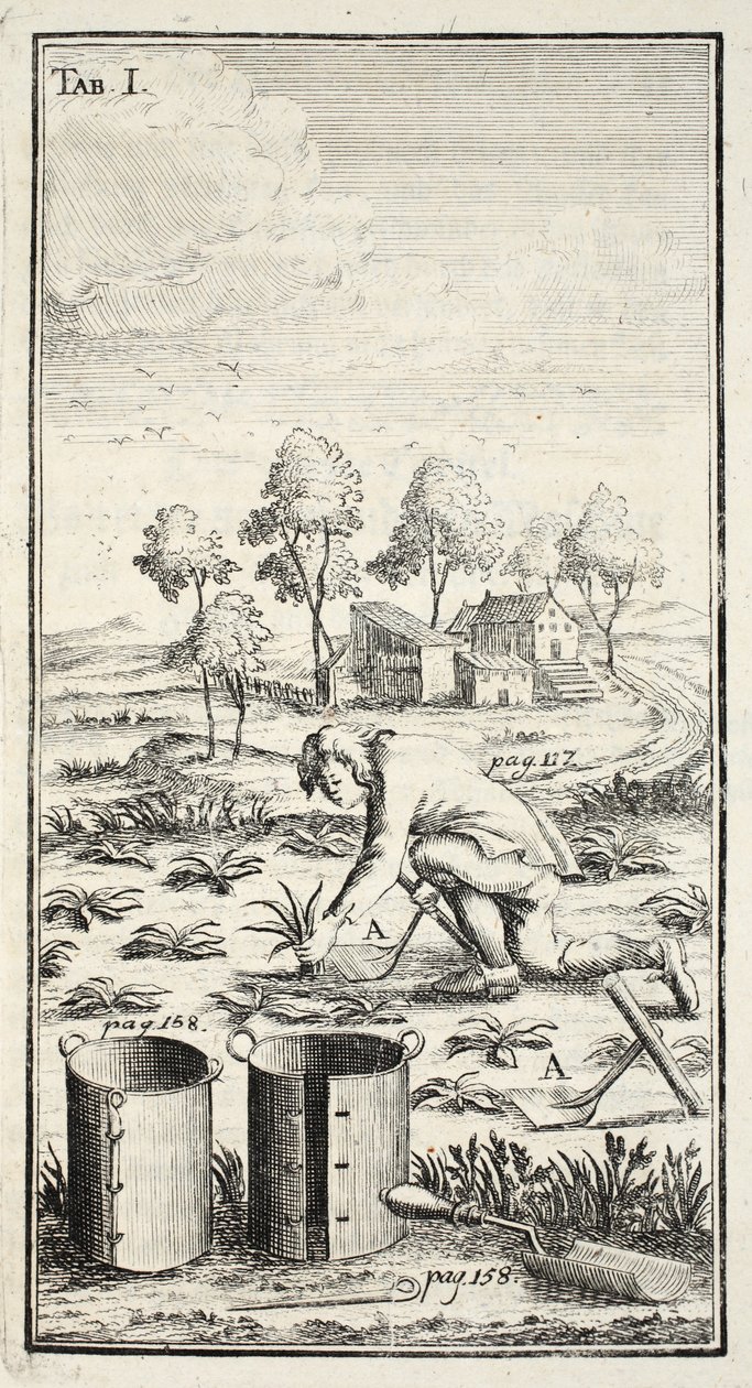 Gärtner bei der Ernte, veröffentlicht in Erfurt in Thüringen von Christian Reicharts
