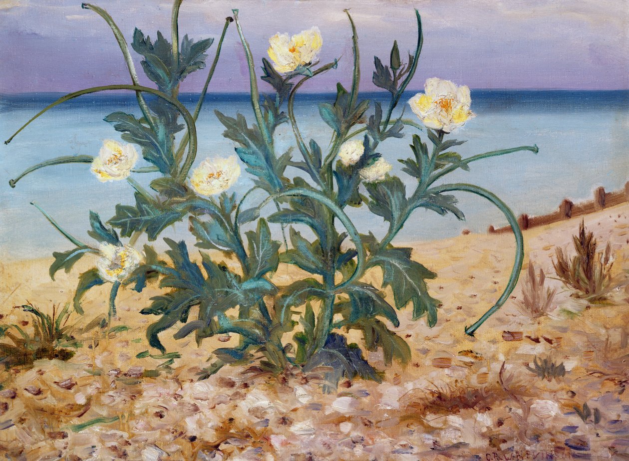 Sanddünen, Ostküste, 1944 von Christopher Richard Wynne Nevinson