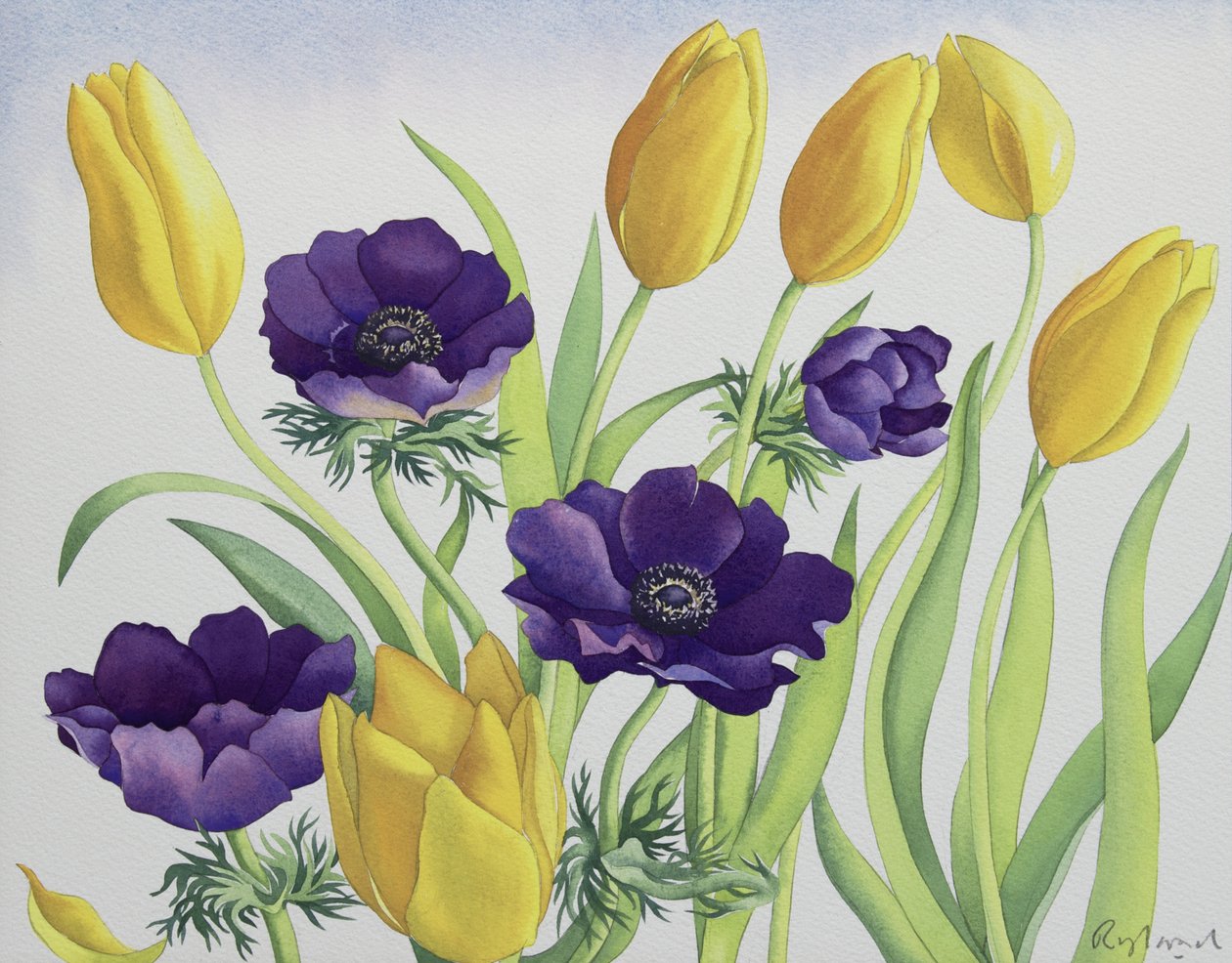 Tulpen und Anemonen von Christopher Ryland