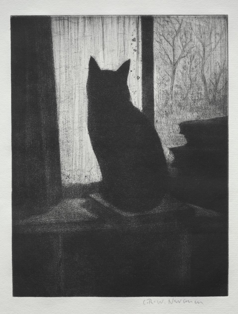 Die Katze von Christopher Richard Wynne Nevinson