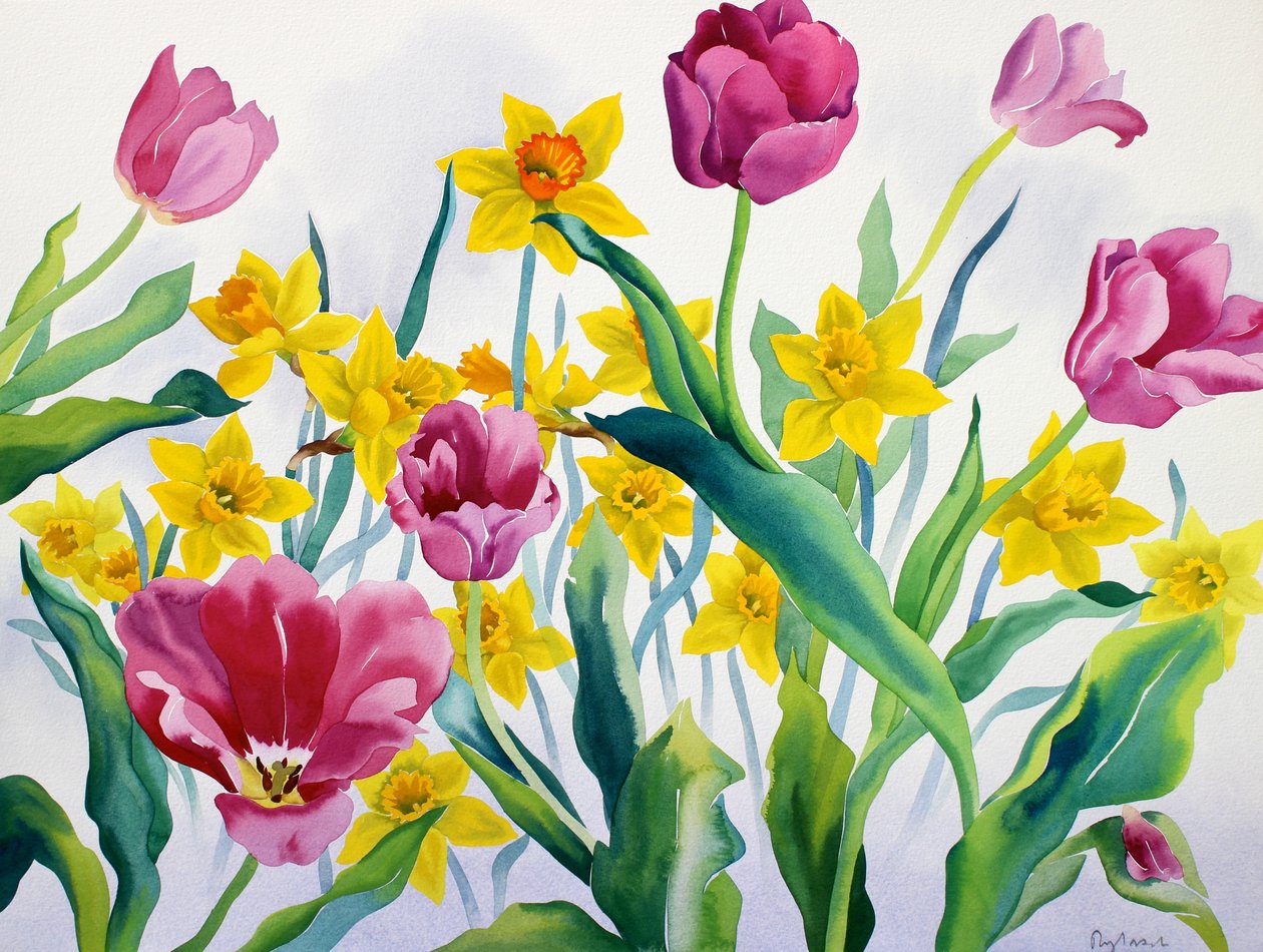 Narzissen und Tulpen von Christopher Ryland