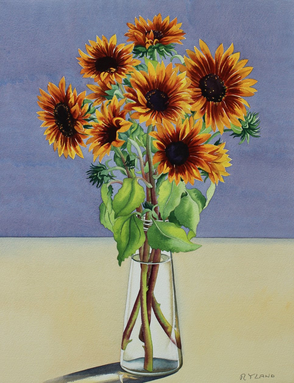 Sonnenblumen von Christopher Ryland