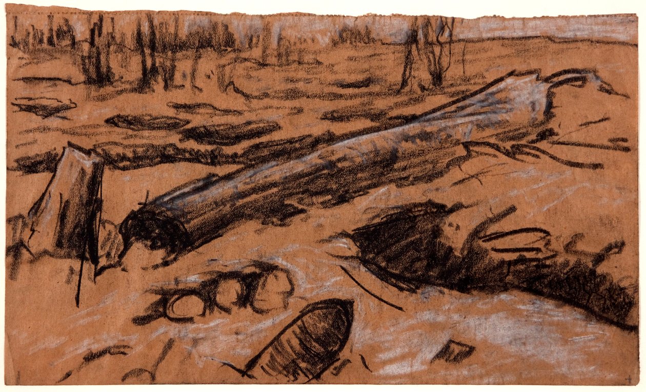 Ein umgestürzter Baum, ca. 1914 von Christopher Williams