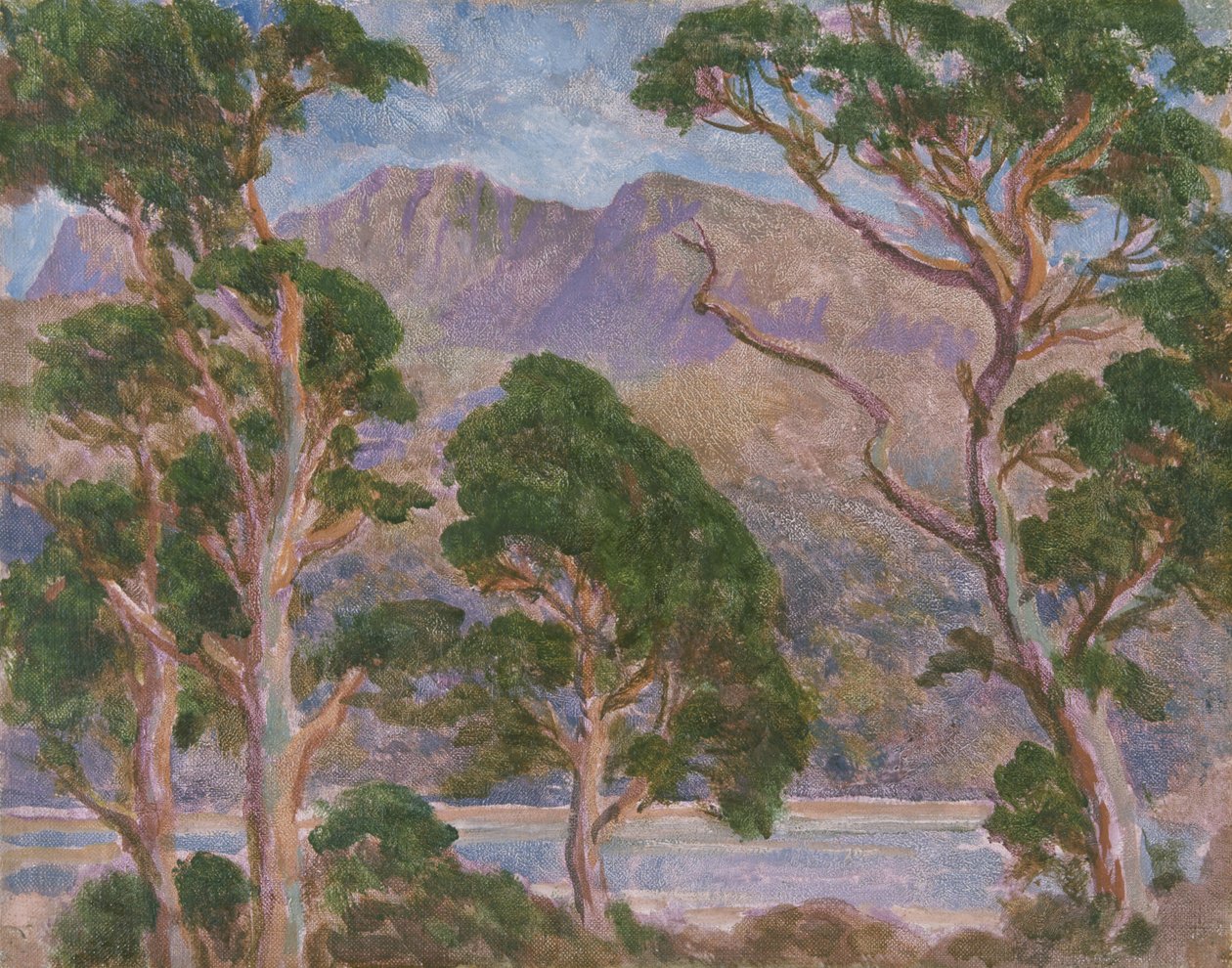 Cader Idris von Christopher Williams