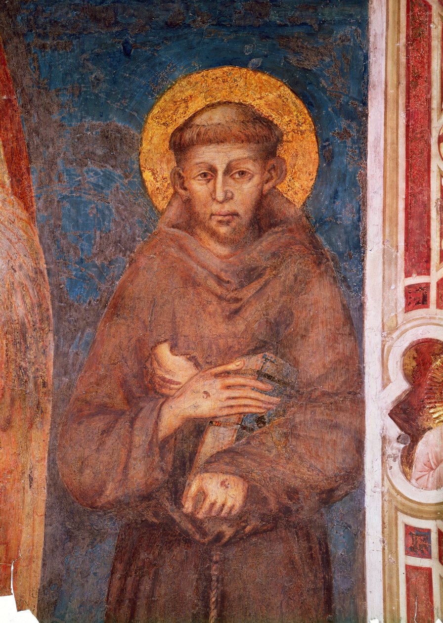 St. Franziskus (Detail) von Giovanni Cimabue