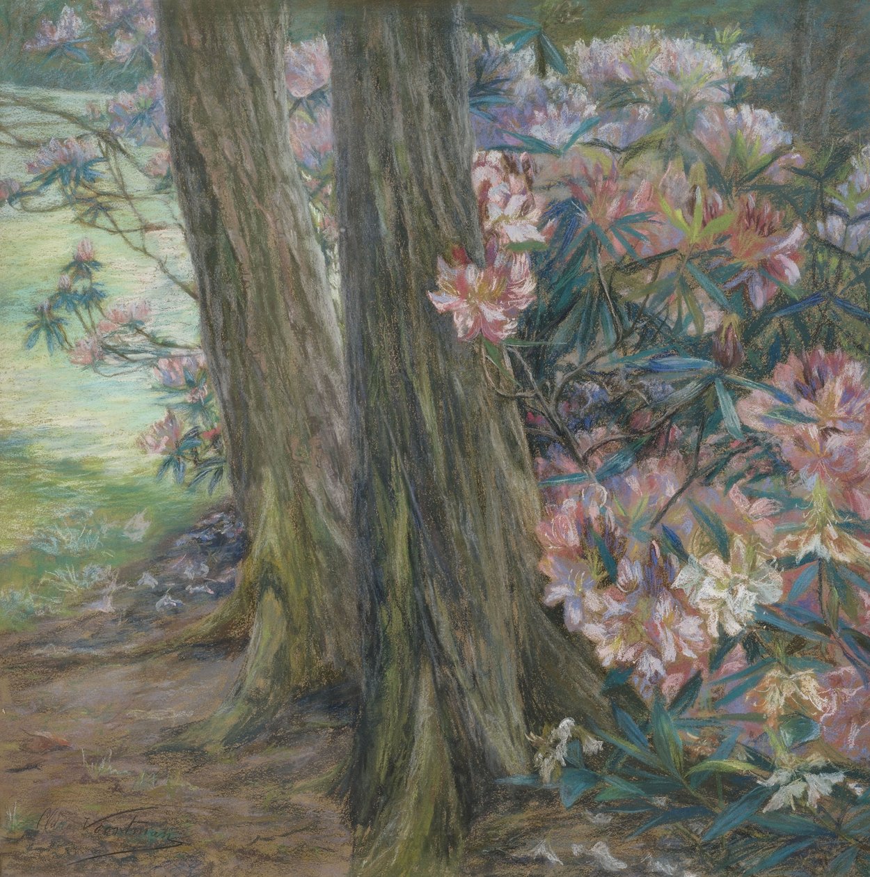 Clara Voortman Rhododendronbusch von Clara Voortman