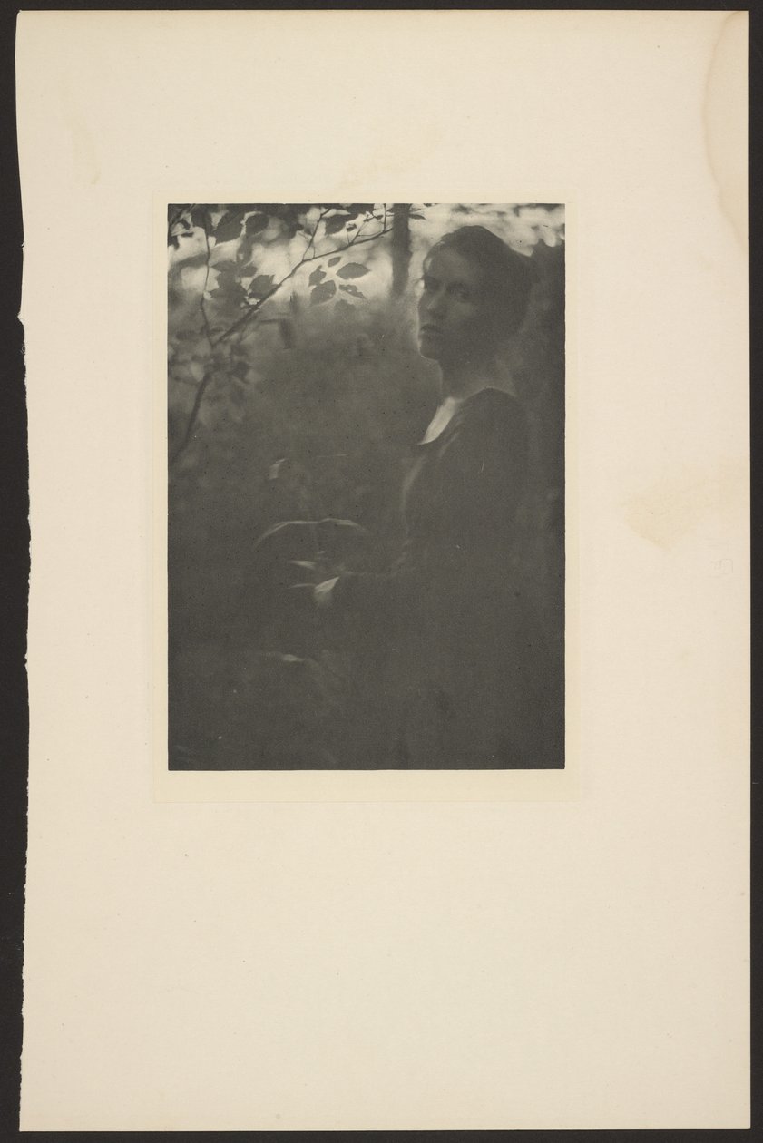Waldrand - Abend von Clarence H. White